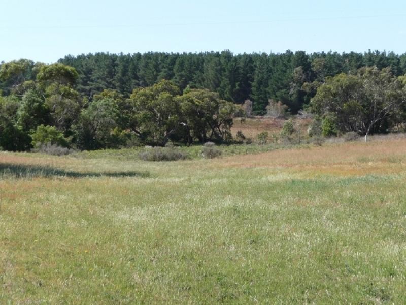 Lot 139 Crow Road, Pages Flat SA 5172