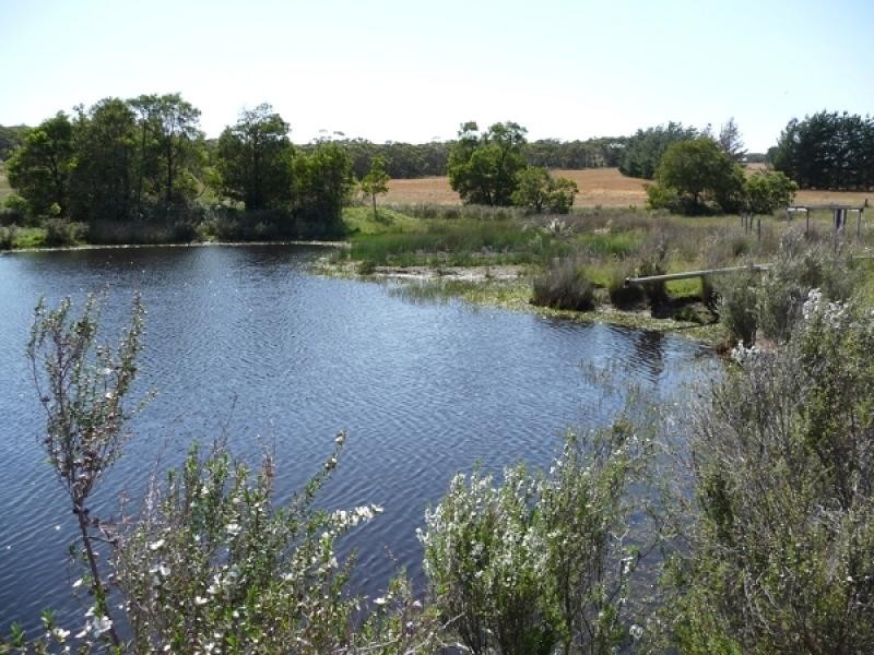 Lot 139 Crow Road, Pages Flat SA 5172
