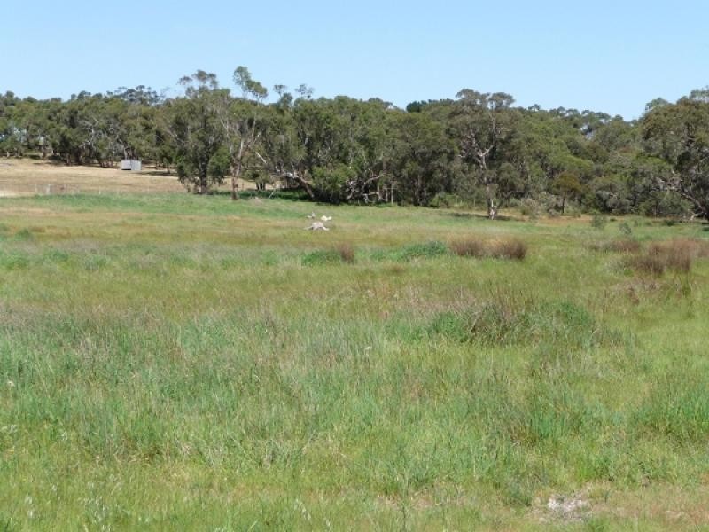 Lot 139 Crow Road, Pages Flat SA 5172