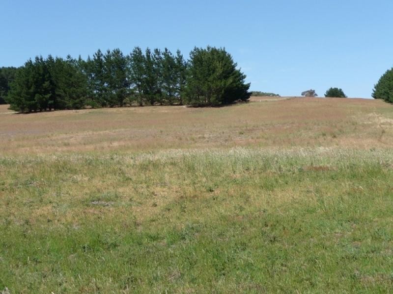 Lot 139 Crow Road, Pages Flat SA 5172