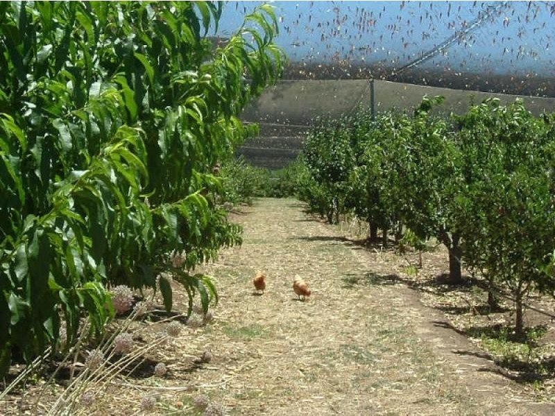 Lot 1 Main South Road, Delamere SA 5204