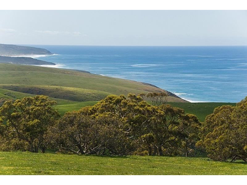 Waitpinga SA 5211