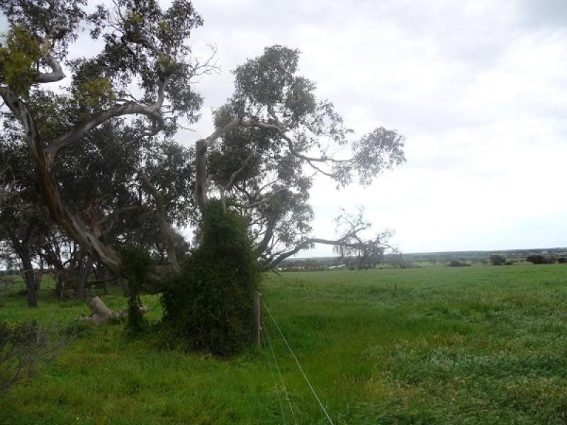 Section 201 Airport Road, Currency Creek SA 5214