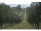 Lot 4 Finniss Park Road, Currency Creek SA 5214