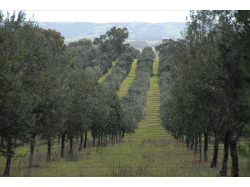 Lot 4 Finniss Park Road, Currency Creek SA 5214
