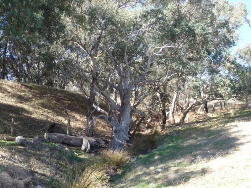 Lot 201 Main South Road, Second Valley SA 5204