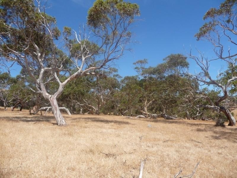 Lot 5 Fishery Beach Road, Cape Jervis SA 5204