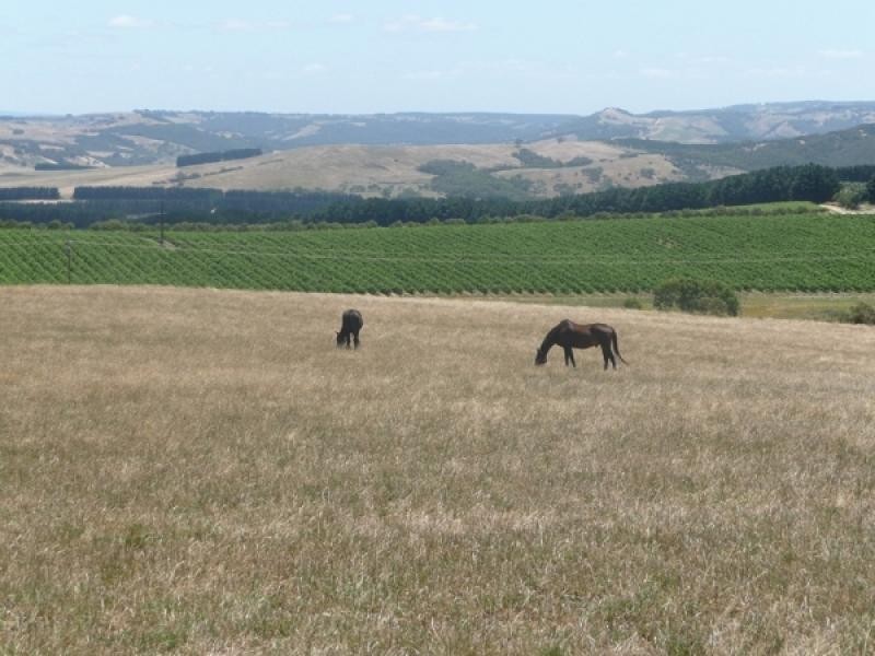 Lot 11 Victor Harbor Road, Mount Jagged SA 5211