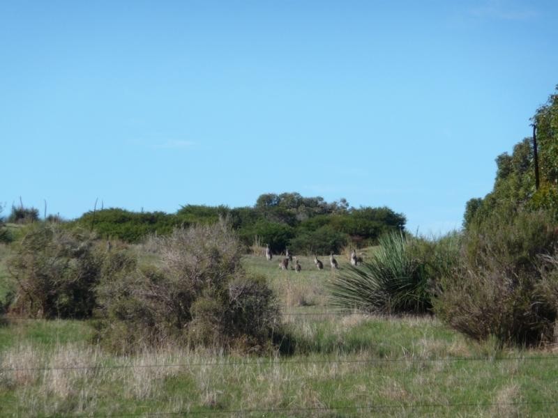 Lot 1 Polwarth Drive, Inman Valley SA 5211