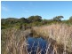 Lot 1 Polwarth Drive, Inman Valley SA 5211