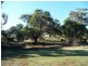 Lot 1 Portion of Section 621 Polwarth Drive, Inman Valley SA 5211