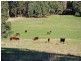 Lot 138 Inman Valley Road, Inman Valley SA 5211