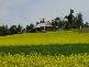 TUNNEY HALL RD, Cranbrook WA 6321