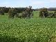 TUNNEY HALL RD, Cranbrook WA 6321