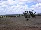 TUNNEY HALL RD, Cranbrook WA 6321