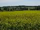 TUNNEY HALL RD, Cranbrook WA 6321