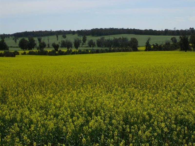 TUNNEY HALL RD, Cranbrook WA 6321