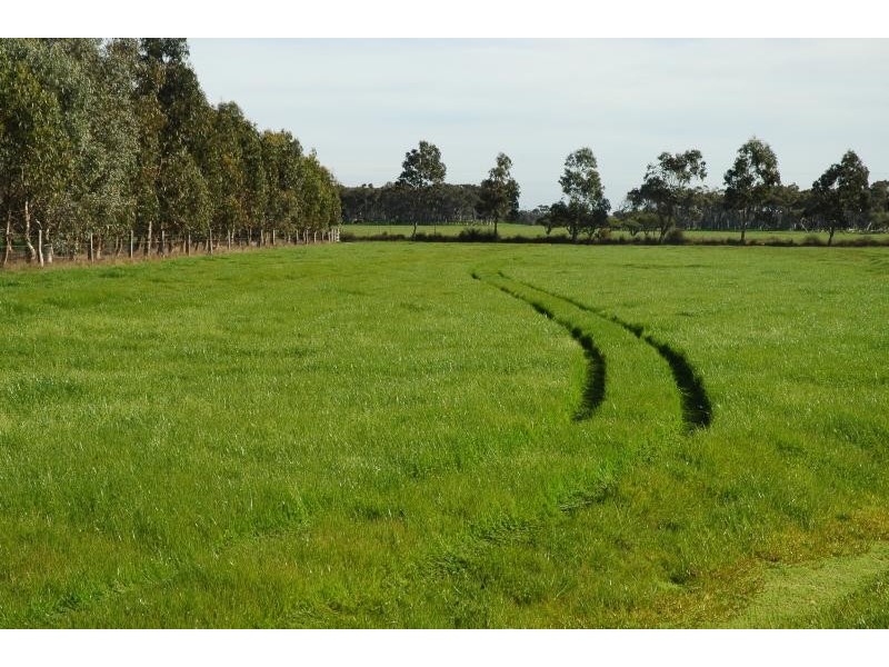 121 Thomas Road, Albany WA 6330