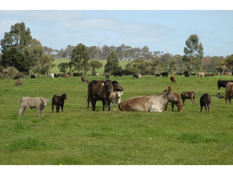 121 Thomas Road, Albany WA 6330