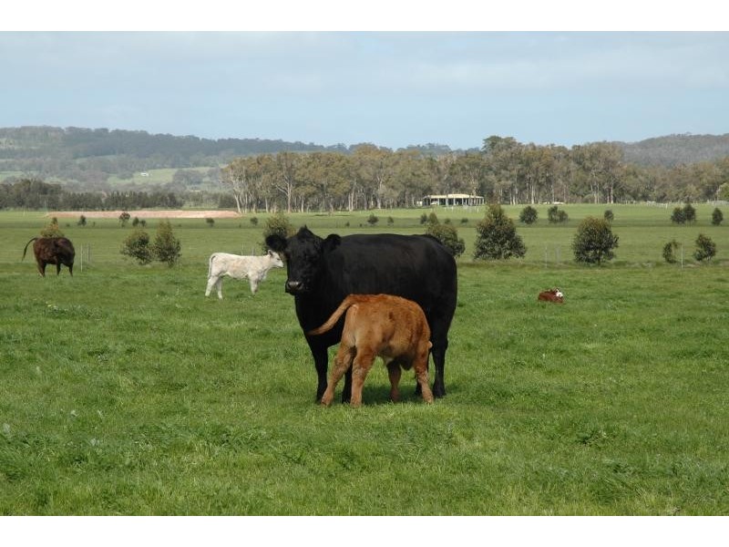 121 Thomas Road, Albany WA 6330