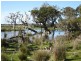 46 Howard Road, 200 ha, Albany WA 6330