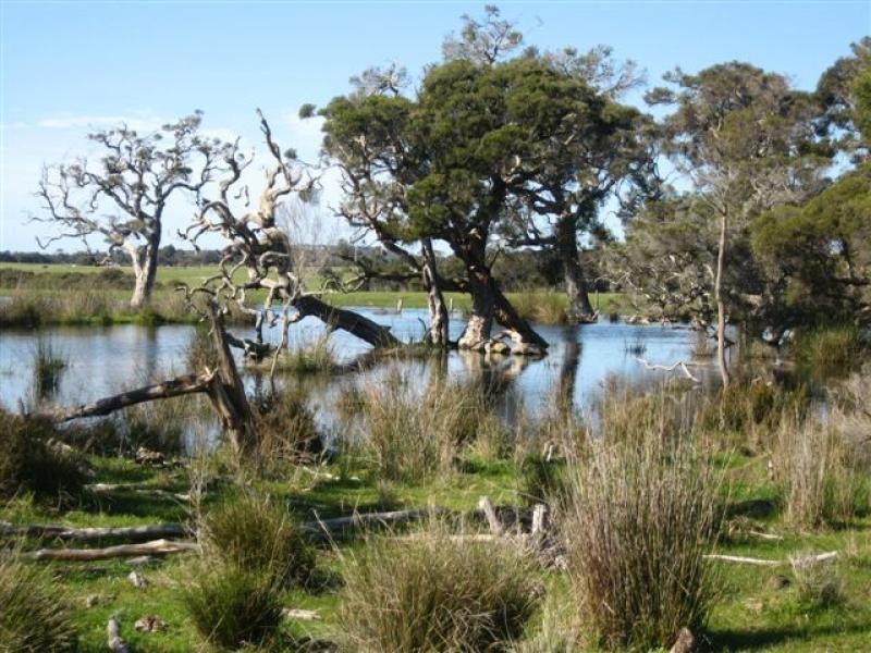 46 Howard Road, 200 ha, Albany WA 6330