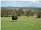Porongurup Road, 29.35 ha, Porongurup WA 6324
