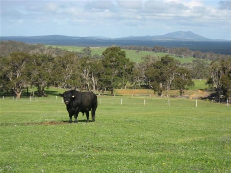 Porongurup Road, 29.35 ha, Porongurup WA 6324