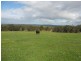 Porongurup Road, 29.35 ha, Porongurup WA 6324