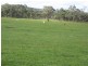 Porongurup Road, 29.35 ha, Porongurup WA 6324