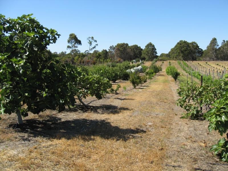 Lot 7/ Norton Road, Redmond WA 6327