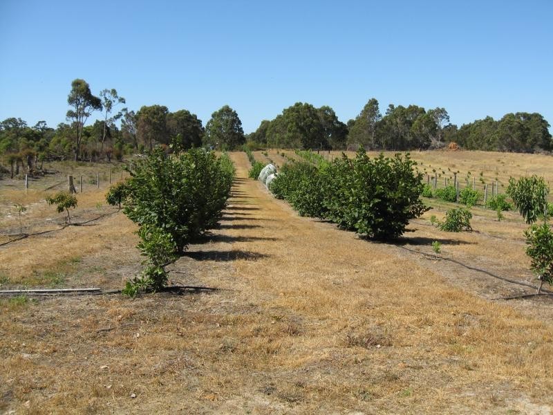 Lot 7/ Norton Road, Redmond WA 6327