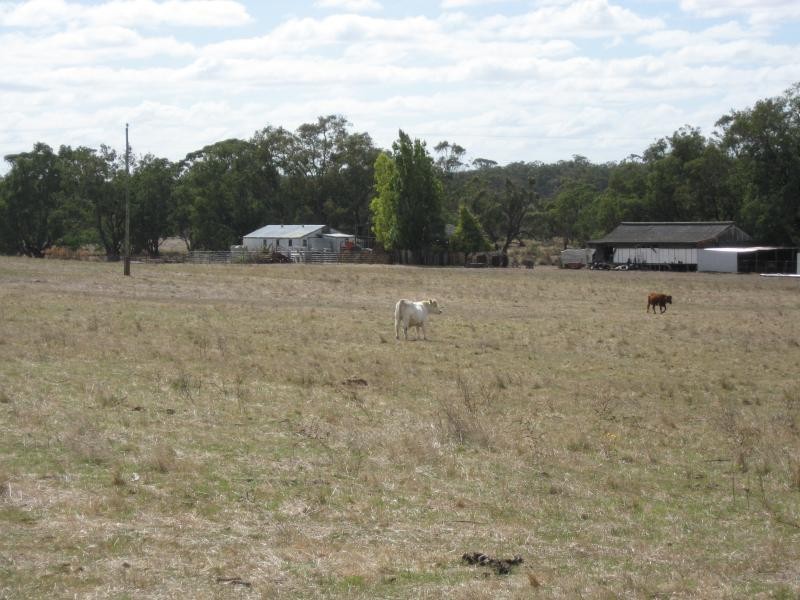 Lake Nunijup Kendenup, 393 ha, Kendenup WA 6323