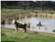 Muir Hwy, 67 .40ha, Mount Barker WA 6324