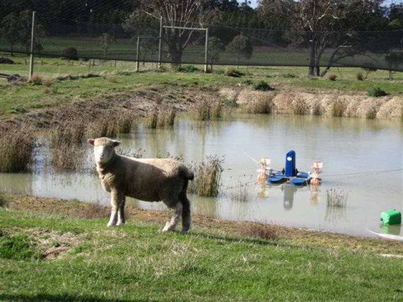 Muir Hwy, 67 .40ha, Mount Barker WA 6324