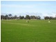 Muir Hwy, 67 .40ha, Mount Barker WA 6324