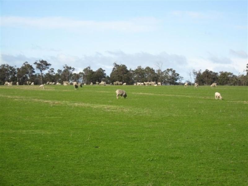 Muir Hwy, 67 .40ha, Mount Barker WA 6324