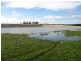 Muir Hwy, 67 .40ha, Mount Barker WA 6324