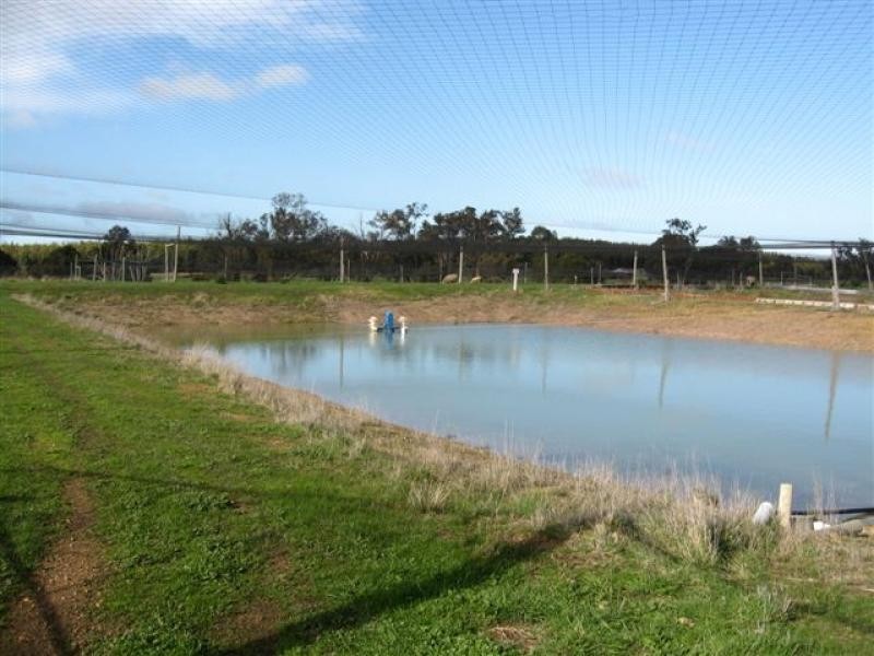 Muir Hwy, 67 .40ha, Mount Barker WA 6324