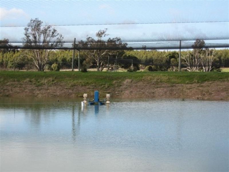 Muir Hwy, 67 .40ha, Mount Barker WA 6324