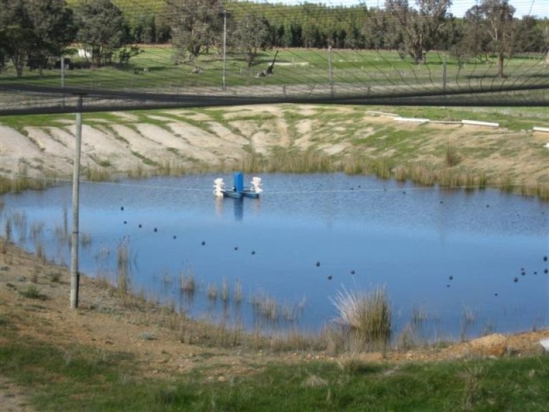 Muir Hwy, 67 .40ha, Mount Barker WA 6324