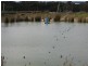 Muir Hwy, 67 .40ha, Mount Barker WA 6324
