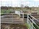 Muir Hwy, 67 .40ha, Mount Barker WA 6324