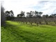 Muir Hwy, 67 .40ha, Mount Barker WA 6324