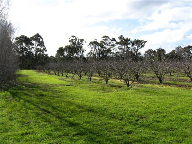 Muir Hwy, 67 .40ha, Mount Barker WA 6324