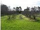 Muir Hwy, 67 .40ha, Mount Barker WA 6324