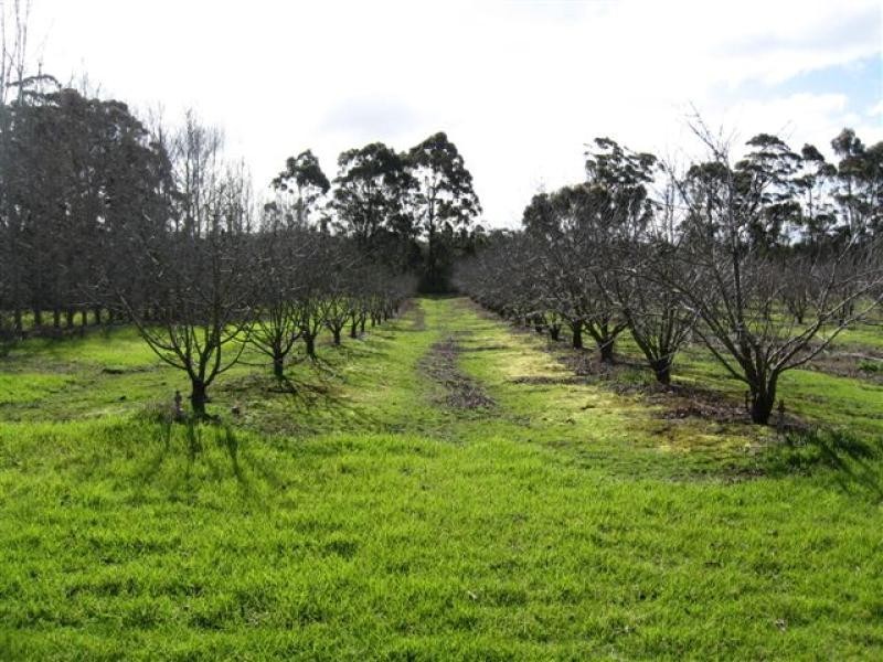 Muir Hwy, 67 .40ha, Mount Barker WA 6324