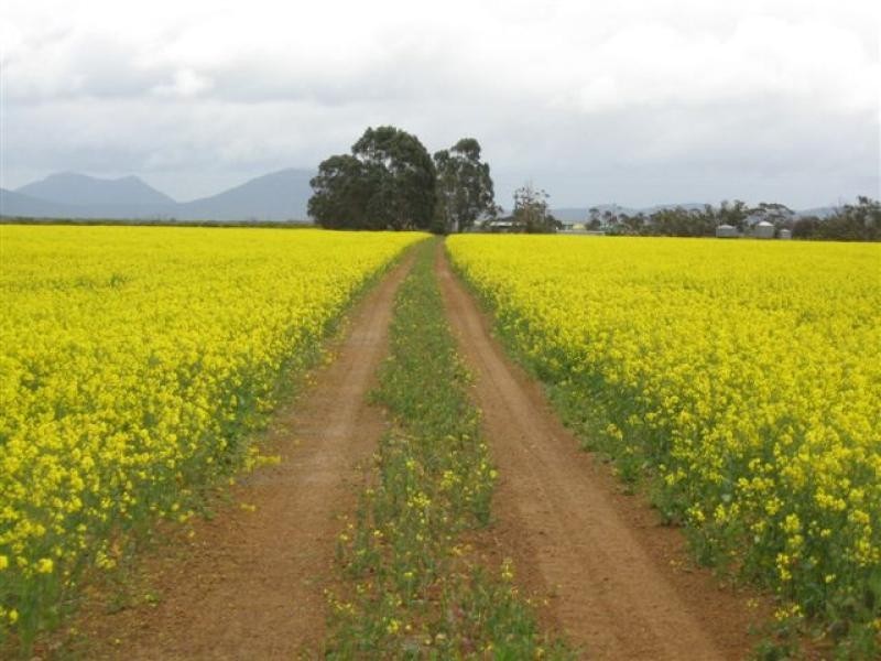 1099 CHILLINUP RD, South Stirling WA 6324