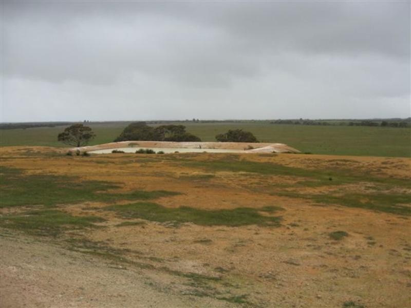 1099 CHILLINUP RD, South Stirling WA 6324