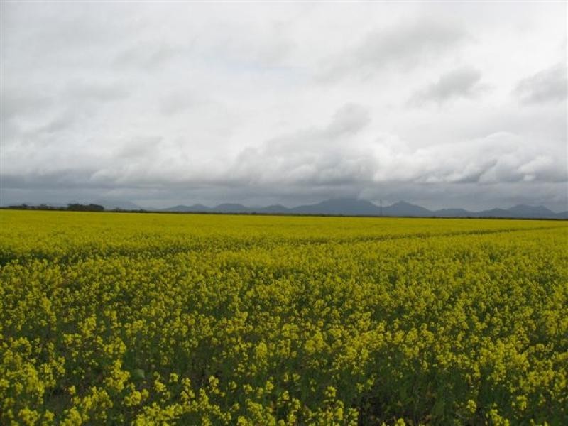 1099 CHILLINUP RD, South Stirling WA 6324